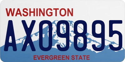 WA license plate AXO9895
