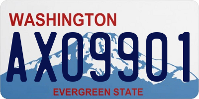 WA license plate AXO9901