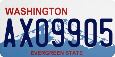 WA license plate AXO9905