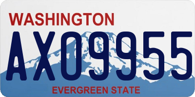 WA license plate AXO9955
