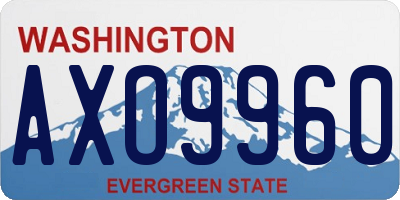 WA license plate AXO9960