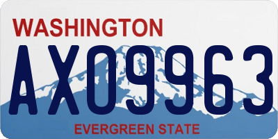 WA license plate AXO9963