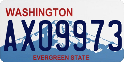 WA license plate AXO9973