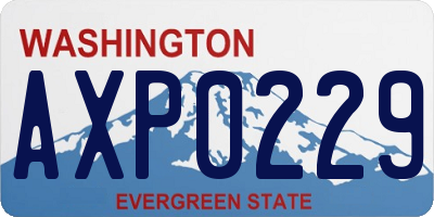 WA license plate AXP0229