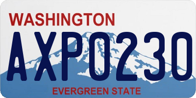 WA license plate AXP0230