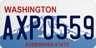 WA license plate AXP0559