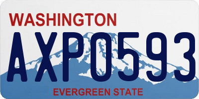 WA license plate AXP0593