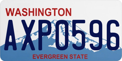WA license plate AXP0596