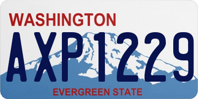 WA license plate AXP1229