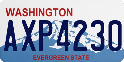 WA license plate AXP4230