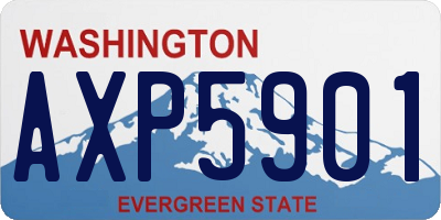 WA license plate AXP5901