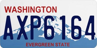 WA license plate AXP6164