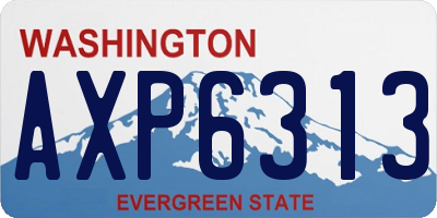 WA license plate AXP6313