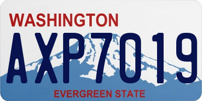 WA license plate AXP7019