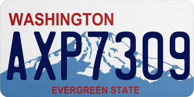 WA license plate AXP7309