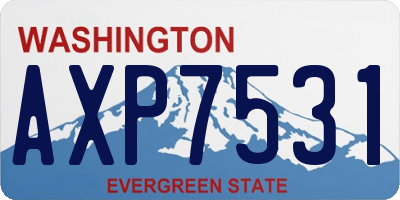 WA license plate AXP7531