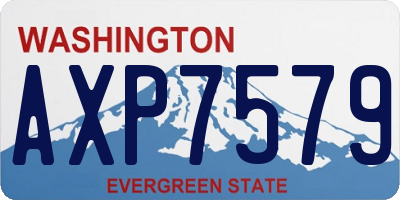 WA license plate AXP7579