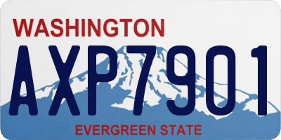 WA license plate AXP7901