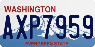 WA license plate AXP7959