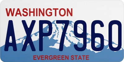 WA license plate AXP7960
