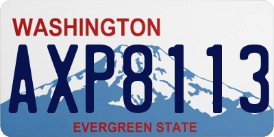 WA license plate AXP8113