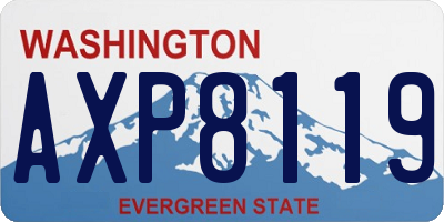 WA license plate AXP8119