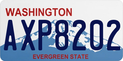 WA license plate AXP8202