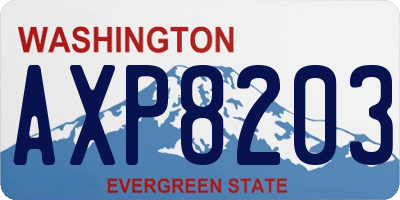WA license plate AXP8203