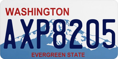 WA license plate AXP8205