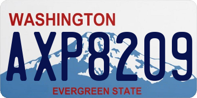 WA license plate AXP8209