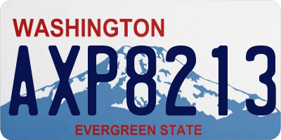 WA license plate AXP8213