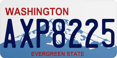 WA license plate AXP8225