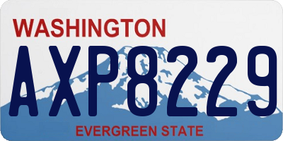 WA license plate AXP8229