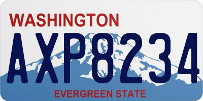 WA license plate AXP8234