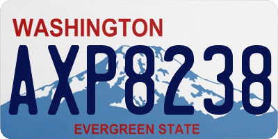 WA license plate AXP8238