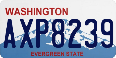 WA license plate AXP8239