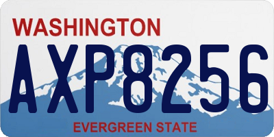 WA license plate AXP8256