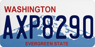 WA license plate AXP8290