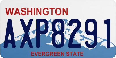 WA license plate AXP8291