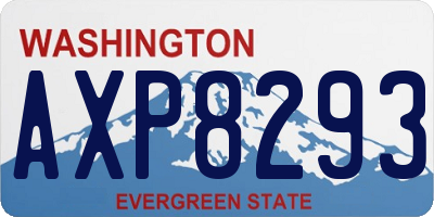 WA license plate AXP8293