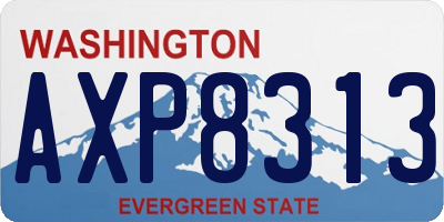WA license plate AXP8313