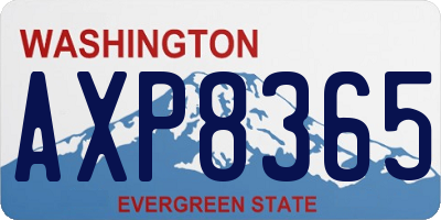 WA license plate AXP8365
