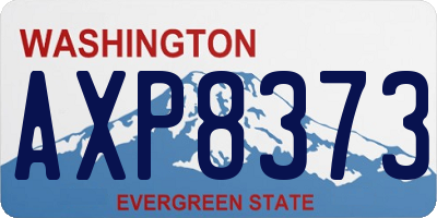 WA license plate AXP8373