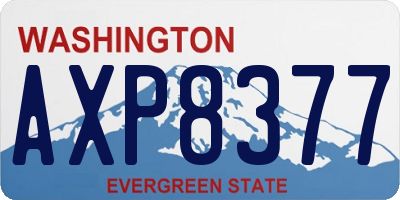 WA license plate AXP8377