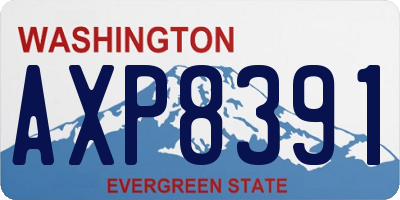 WA license plate AXP8391