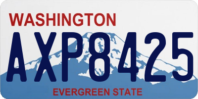 WA license plate AXP8425