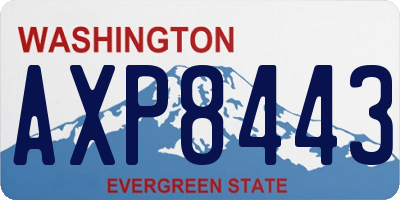 WA license plate AXP8443