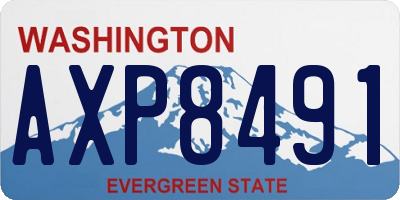 WA license plate AXP8491