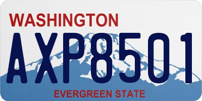 WA license plate AXP8501