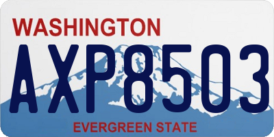 WA license plate AXP8503